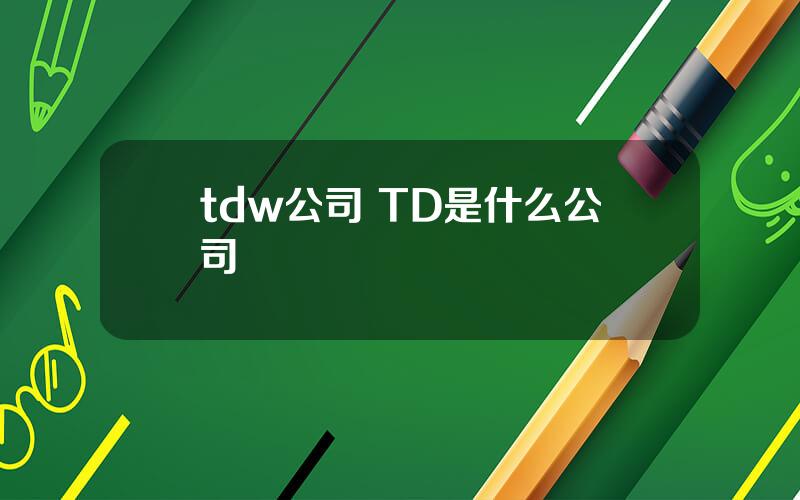 tdw公司 TD是什么公司